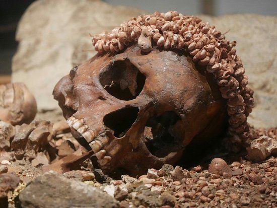 Ligurian Archeological Museum